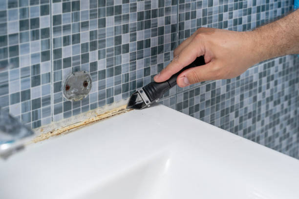 Best Basement Mold Remediation in Camanche, IA